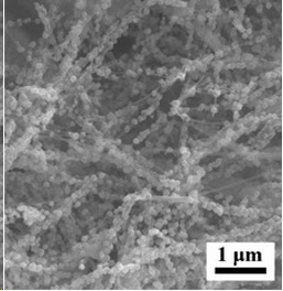 Carbon Nanotubes and Nanoparticles Composites