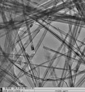 titanic acid nanotube