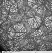 titanium oxide tio2 nanotubes