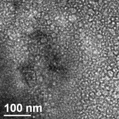 Hydrophobic Silica Nanoparticles