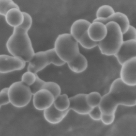 Polvos de silicio nanoestructurados para ánodos de batería de litio de alta capacidad