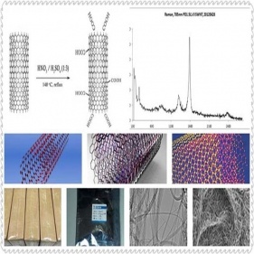 nanotubos de carbono (cnts)