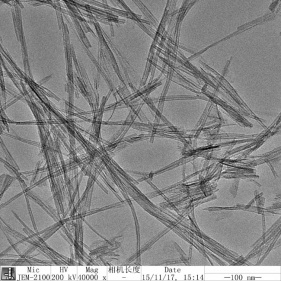 nanotubos de óxido de titanio con alto ssa