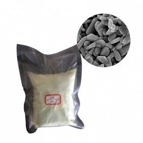 nano polvo WO3