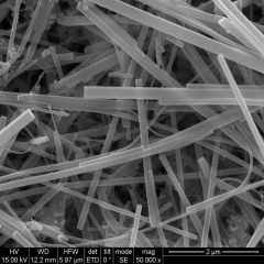 SiNWs Silicon Nanowires 