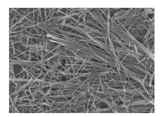 Nanomateriales de dióxido de vanadio: una guía completa sobre partículas monoclínicas, dopadas con W y nanocables