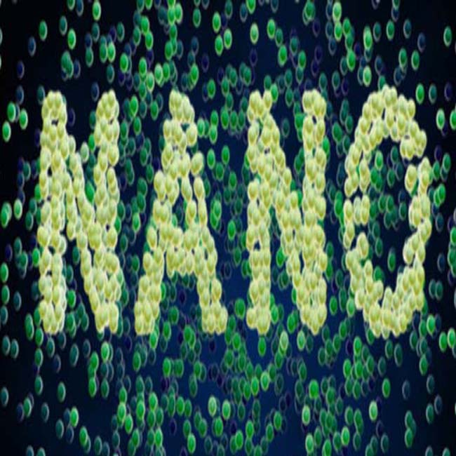 introducción magnética de los nanomateriales