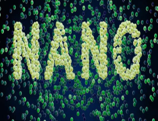 ¿Qué son las nanopartículas?